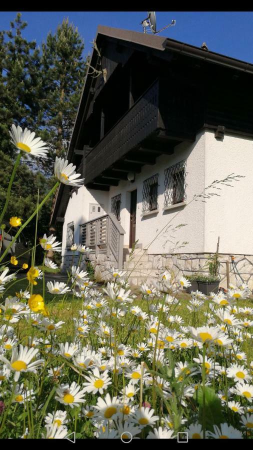 River House Hrib Preddvor Extérieur photo